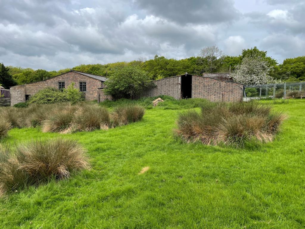 Lot: 35 - FREEHOLD SMALLHOLDING PLUS NINE ACRES OF LAND WITH POTENTIAL - Rear view of outbuildings and land